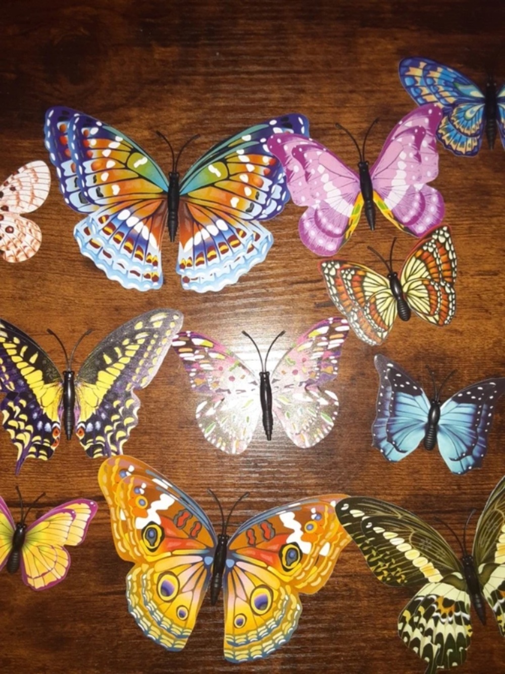 Set of 12 3D butterfly magnets
